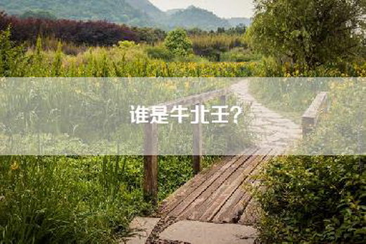 谁是牛北壬? 谁是牛北壬?