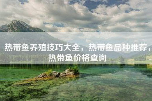 热带鱼养殖技巧大全,热带鱼品种推荐,热带鱼价格查询 热带鱼养殖技巧大全,热带鱼品种推荐,热带鱼价格查询
