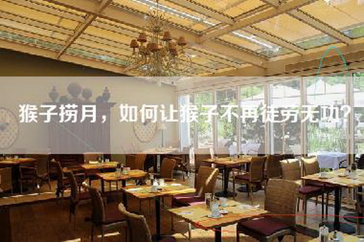 猴子捞月，如何让猴子不再徒劳无功？