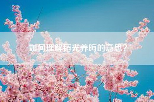 如何理解韬光养晦的意思？