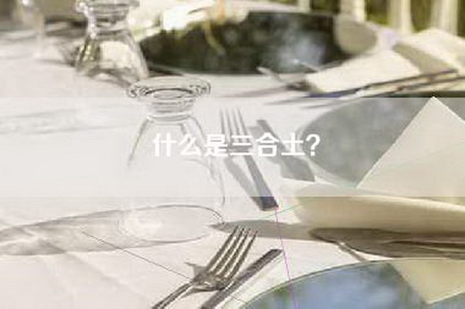 什么是三合土? 什么是三合土?