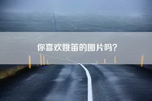 你喜欢姚笛的图片吗？