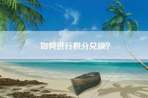 如何进行积分兑换?