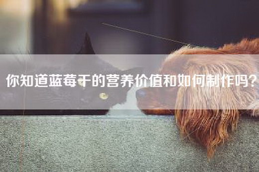 你知道蓝莓干的营养价值和如何制作吗？