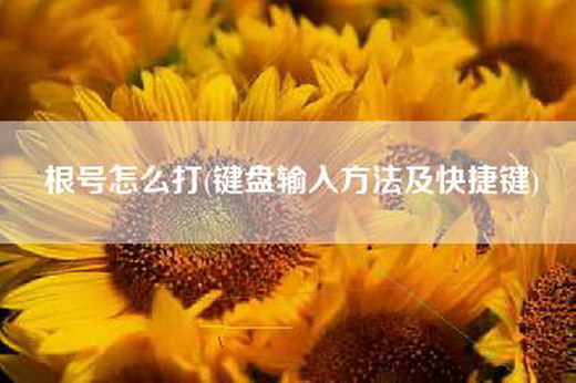 根号怎么打(键盘输入方法及快捷键)