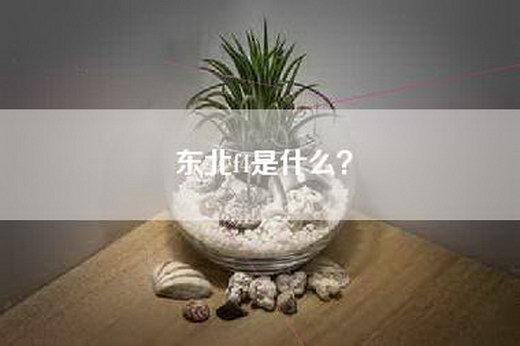 东北f4是什么？