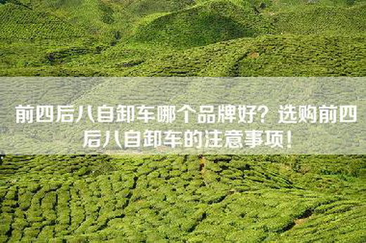 前四后八自卸车哪个品牌好？选购前四后八自卸车的注意事项！