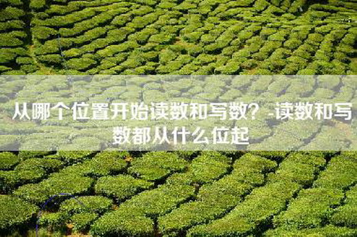 从哪个位置开始读数和写数？-读数和写数都从什么位起