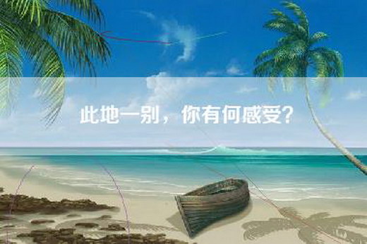 此地一别，你有何感受？
