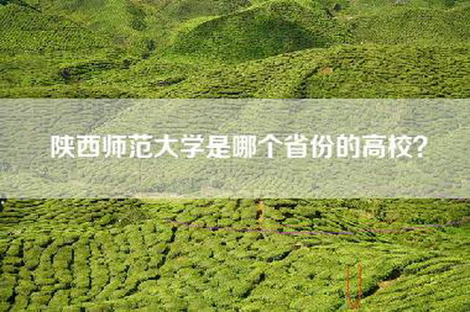 陕西师范大学是哪个省份的高校？