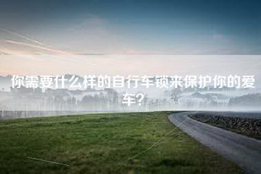 你需要什么样的自行车锁来保护你的爱车？