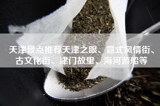 天津景点推荐天津之眼、意式风情街、古文化街、津门故里、海河游船等