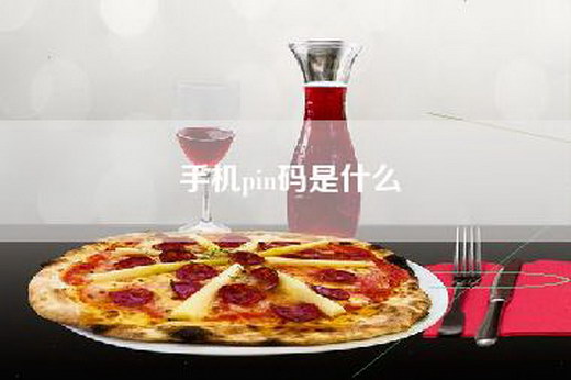 手机pin码是什么 手机pin码是什么