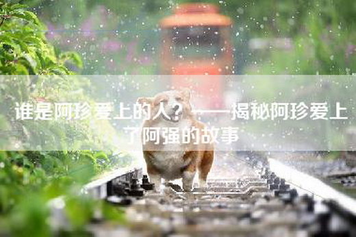 谁是阿珍爱上的人？——揭秘阿珍爱上了阿强的故事