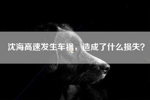 沈海高速发生车祸,造成了什么损失? 沈海高速发生车祸,造成了什么损失?