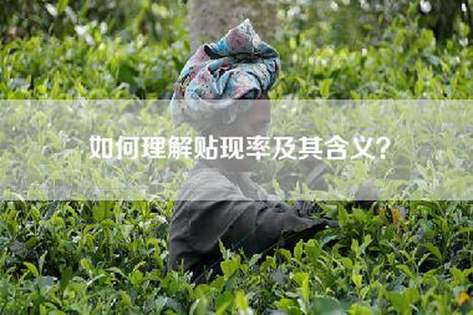 如何理解贴现率及其含义？