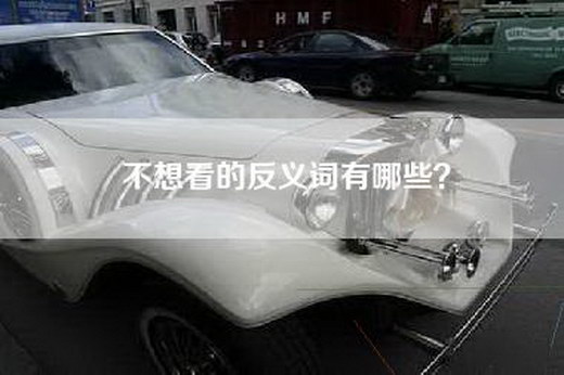 不想看的反义词有哪些？