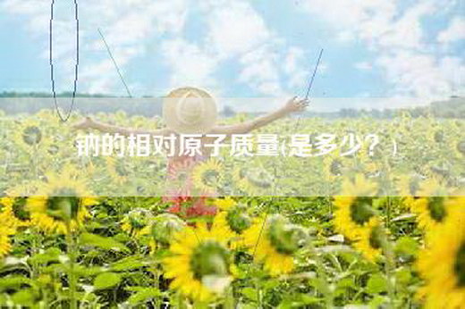 钠的相对原子质量(是多少？)