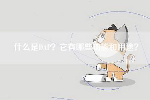 什么是DAP？它有哪些功能和用途？