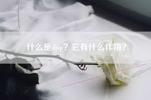 什么是disp？它有什么作用？