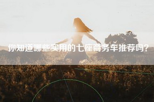 你知道哪些实用的七座商务车推荐吗？