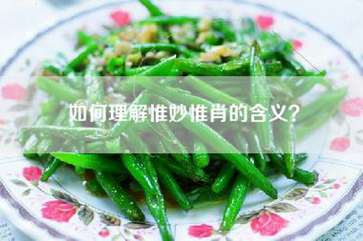 如何理解惟妙惟肖的含义？