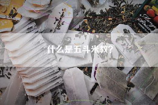 什么是五斗米教? 什么是五斗米教?