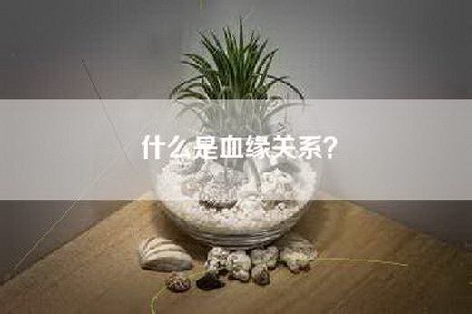 什么是血缘关系？