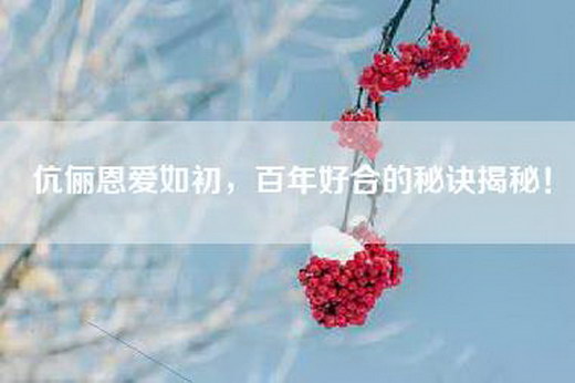 伉俪恩爱如初，百年好合的秘诀揭秘！