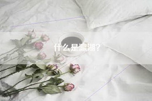 什么是瀛湖? 什么是瀛湖?