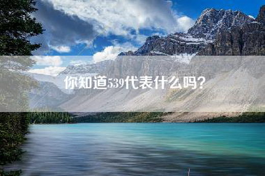 你知道539代表什么吗？