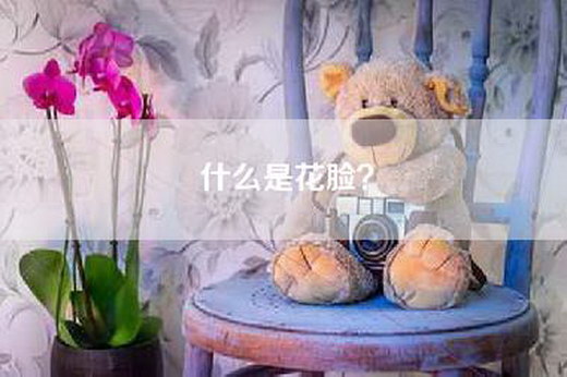 什么是花脸? 什么是花脸?