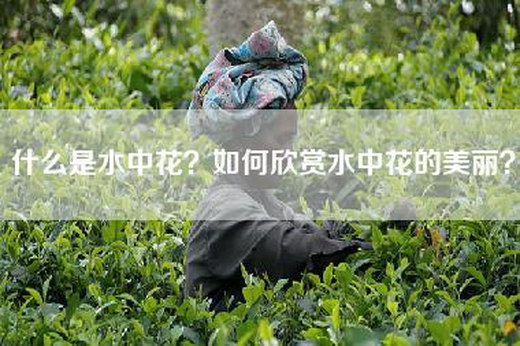 什么是水中花？如何欣赏水中花的美丽？