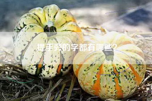 提手旁的字都有哪些？