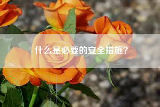 什么是必要的安全措施? 什么是必要的安全措施?