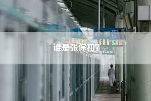 谁是张保和？