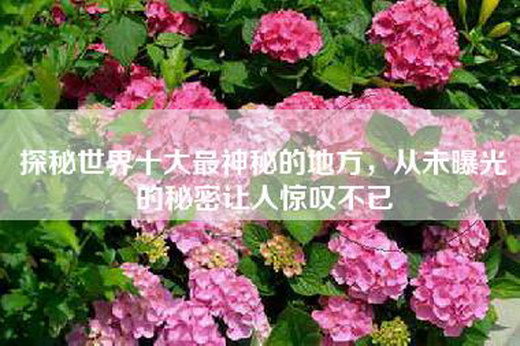 探秘世界十大最神秘的地方，从未曝光的秘密让人惊叹不已
