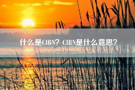 什么是CIBN?CIBN是什么意思? 什么是CIBN?CIBN是什么意思?