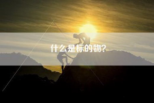 什么是标的物？