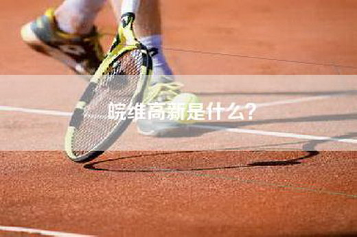 皖维高新是什么？