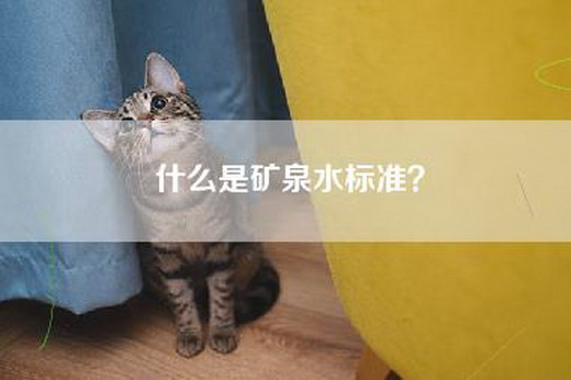 什么是矿泉水标准? 什么是矿泉水标准?