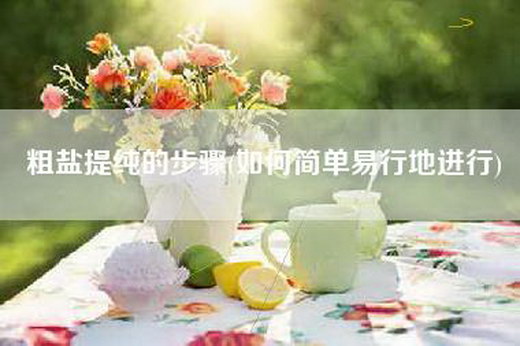 粗盐提纯的步骤(如何简单易行地进行) 粗盐提纯的步骤(如何简单易行地进行)