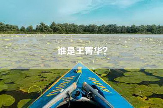 谁是王菁华？
