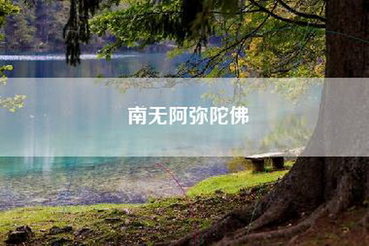 南无阿弥陀佛 南无阿弥陀佛