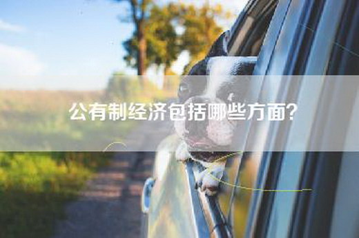 公有制经济包括哪些方面？