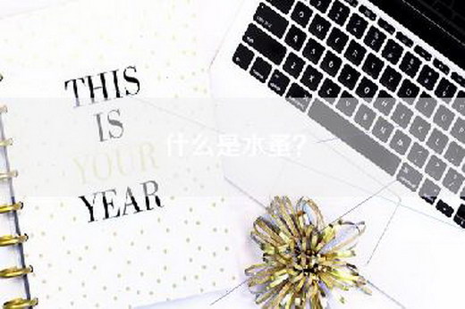 什么是水蚤? 什么是水蚤?