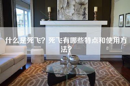 什么是死飞?死飞有哪些特点和使用方法? 什么是死飞?死飞有哪些特点和使用方法?
