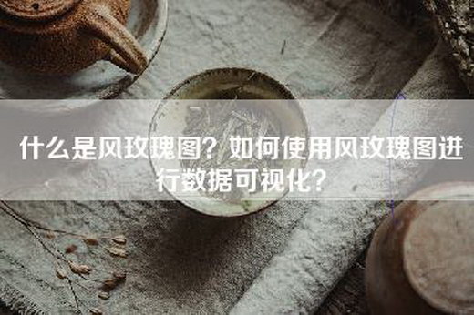 什么是风玫瑰图?如何使用风玫瑰图进行数据可视化? 什么是风玫瑰图?如何使用风玫瑰图进行数据可视化?