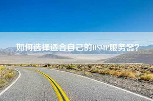 如何选择适合自己的DSMP服务器? 如何选择适合自己的DSMP服务器?