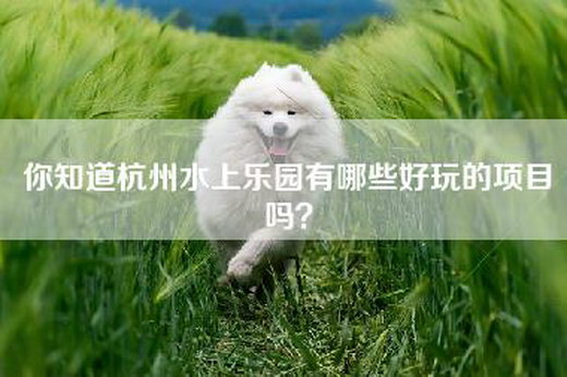 你知道杭州水上乐园有哪些好玩的项目吗? 你知道杭州水上乐园有哪些好玩的项目吗?